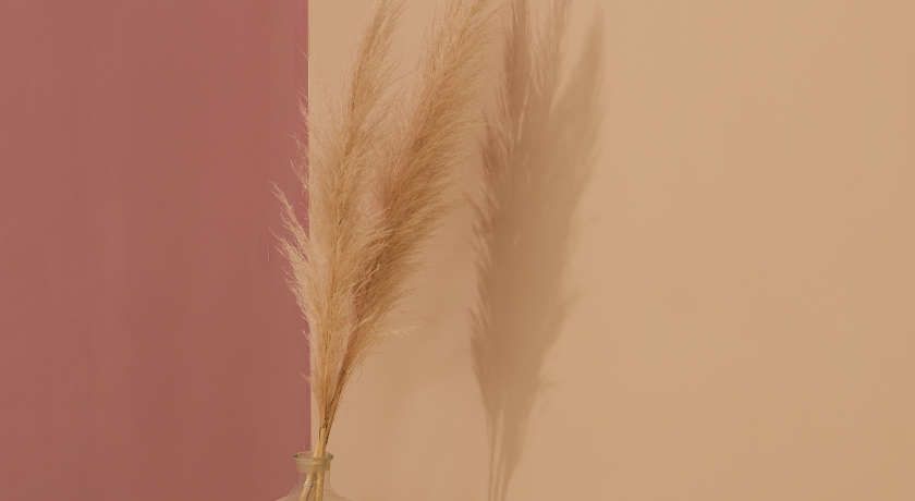 Аренда фотостудии Молодые Зал Чистый в Москве | Фото 