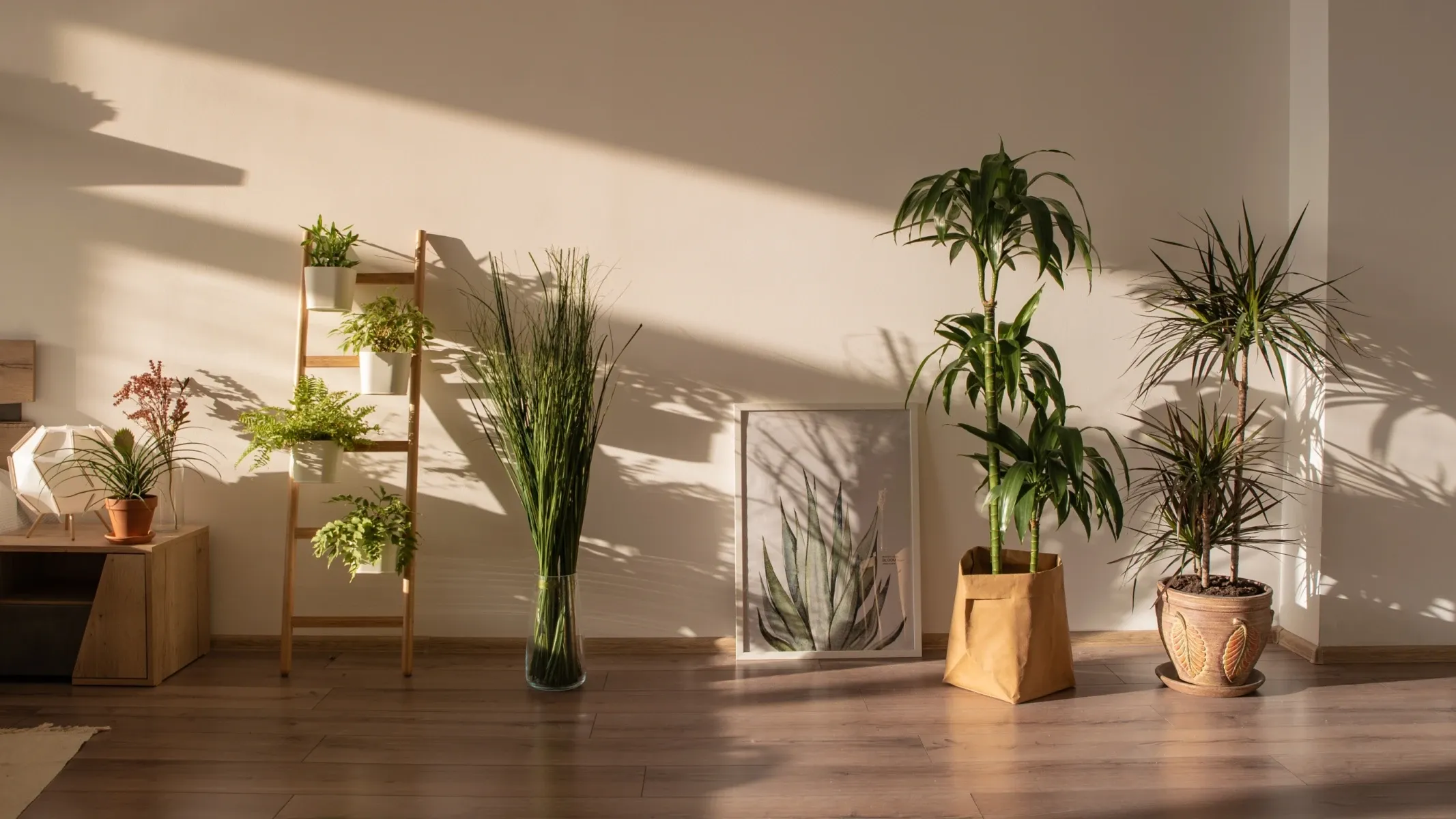 Аренда фотостудии Tick Studio Зал Green  в Москве | Фото 