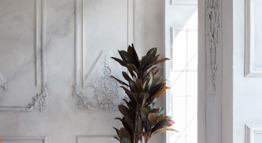 Аренда фотостудии VANGUARD Зал Серый в Санкт-Петербурге | Фото 