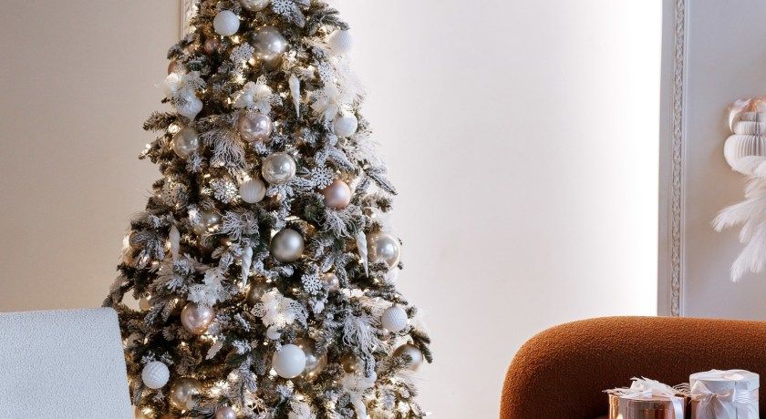 Аренда фотостудии FABRIKA Зал ROYAL в Санкт-Петербурге | Фото 