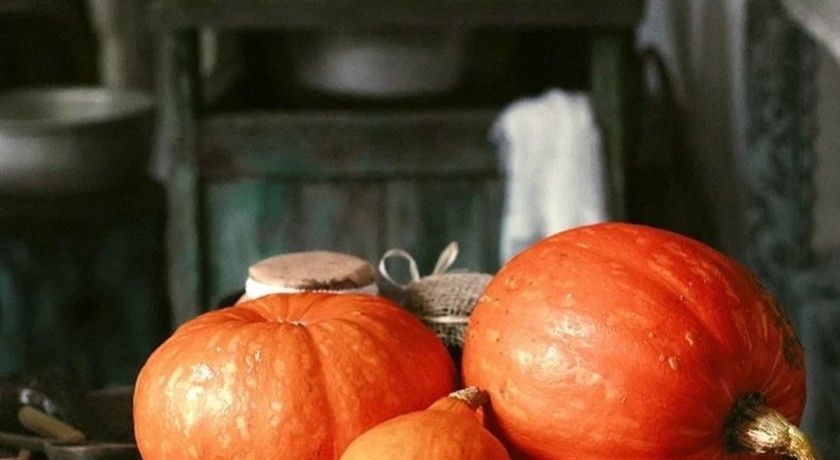 Аренда фотостудии Домик в лесу Зал Веранда осенью в Москве | Фото 