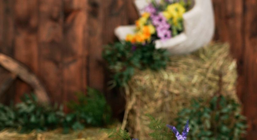 Изображение статьи