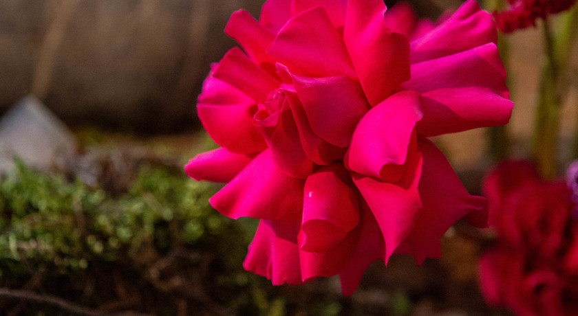 Аренда фотостудии AALTO PHOTOSTUDIO Зал Пустыня в Санкт-Петербурге | Фото 