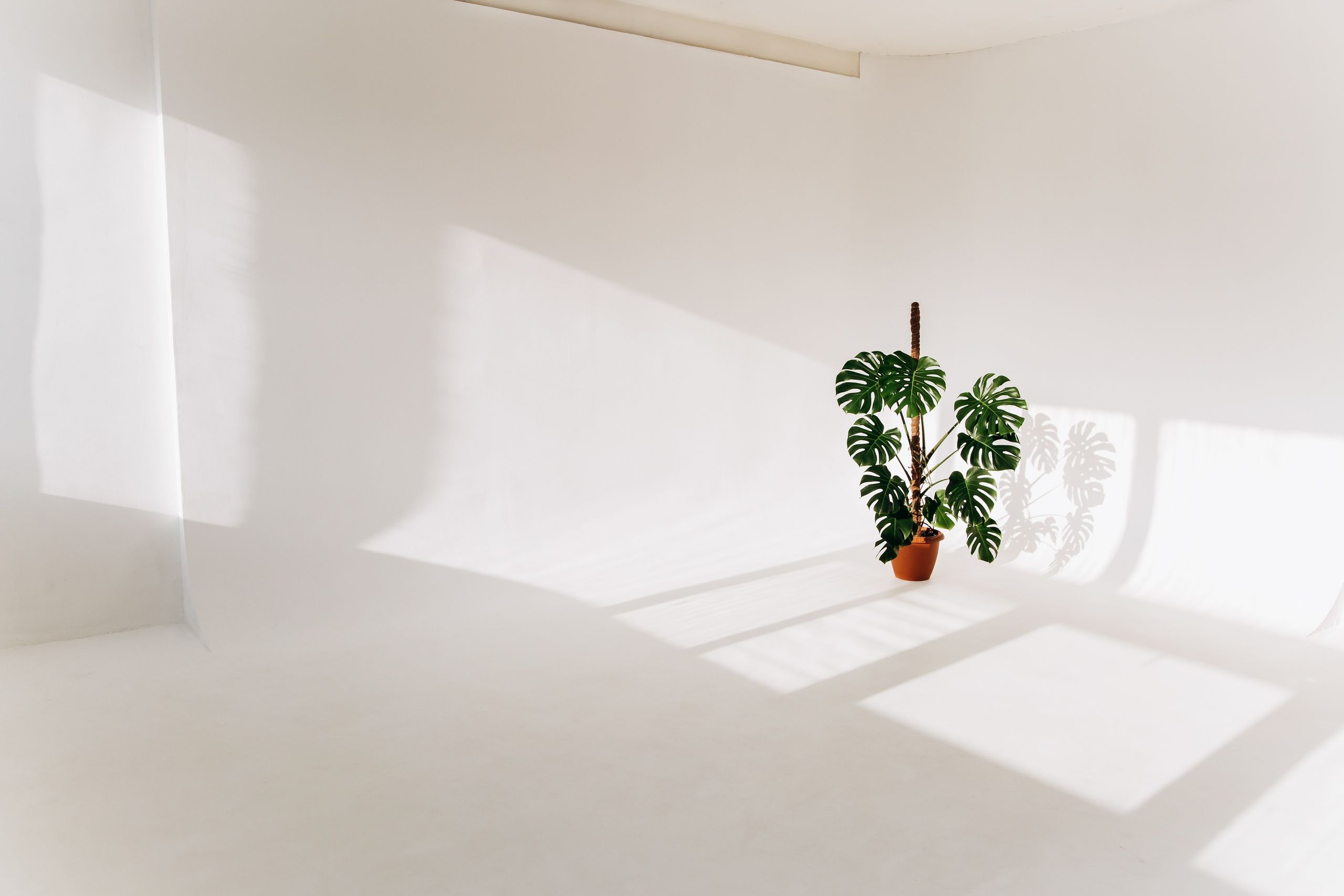 Изображение статьи