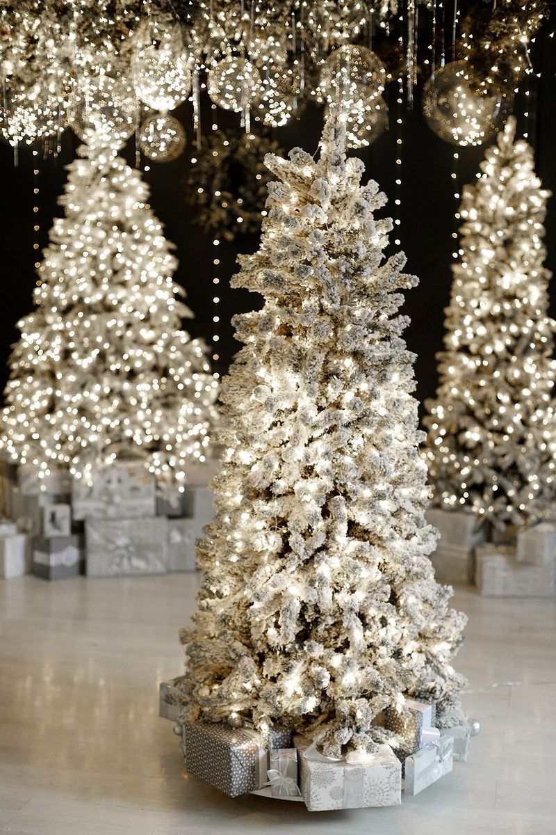 Аренда фотостудии Royal Studio РОЯЛ в Новосибирске | Фото 