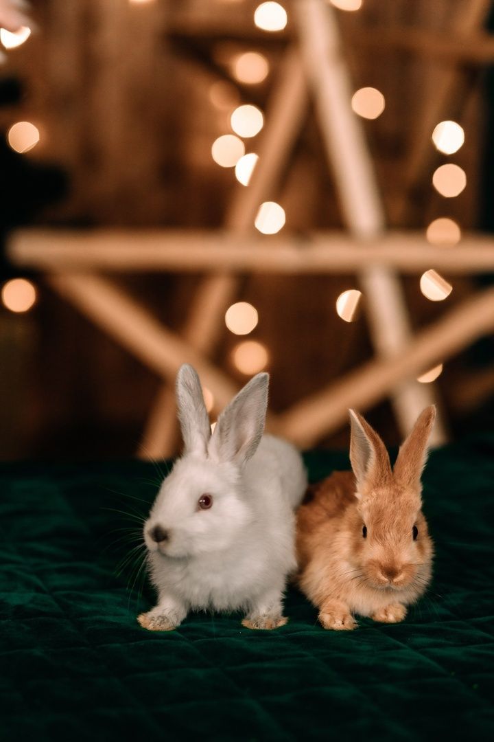 Изображение статьи