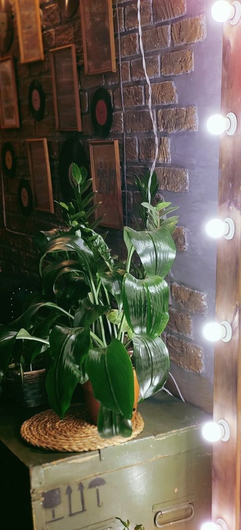 Аренда фотостудии Завод Холл, пространство для проведения праздников и фотосессий Зал Бали  В Иркутске | Фото 