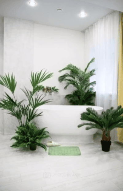 Изображение статьи