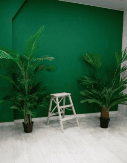 Изображение статьи