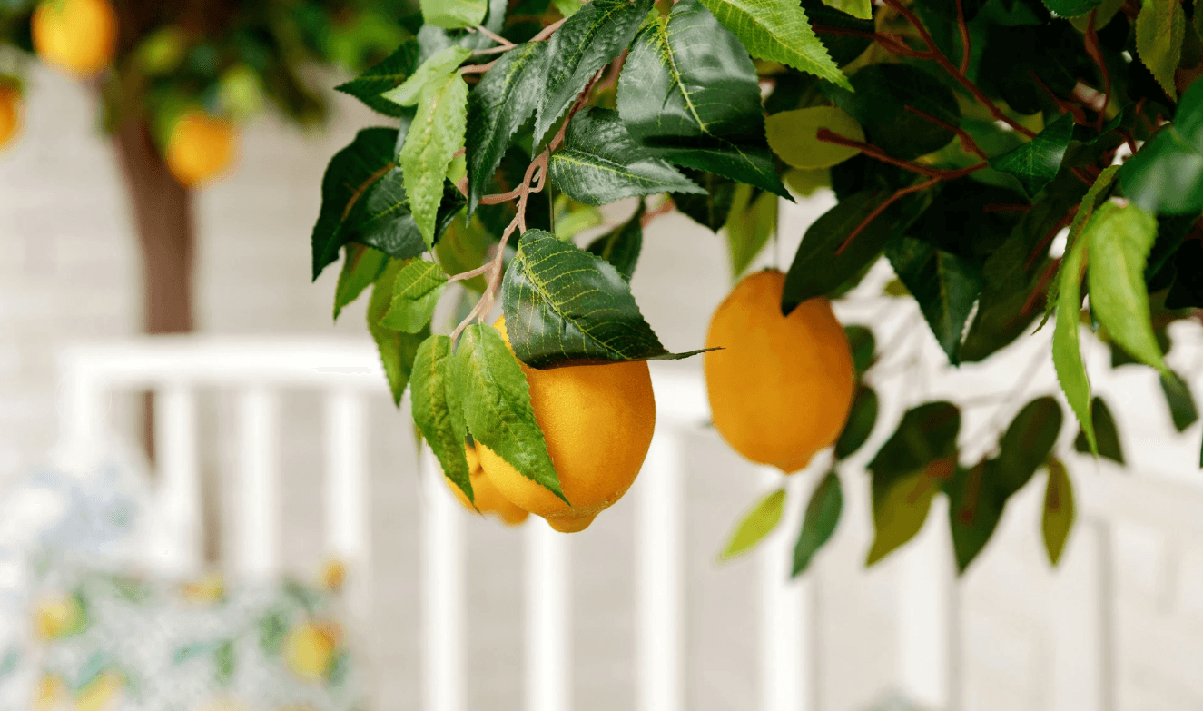 Аренда фотостудии Solar Studio  Зал Основной зал в Нижнем Новгороде | Фото 