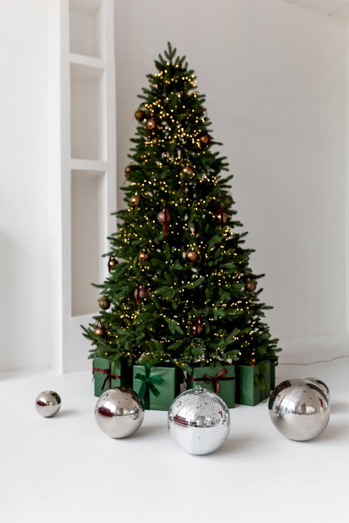 Аренда фотостудии Фотостудия Корица Зал Зал 1 в Минске | Фото 