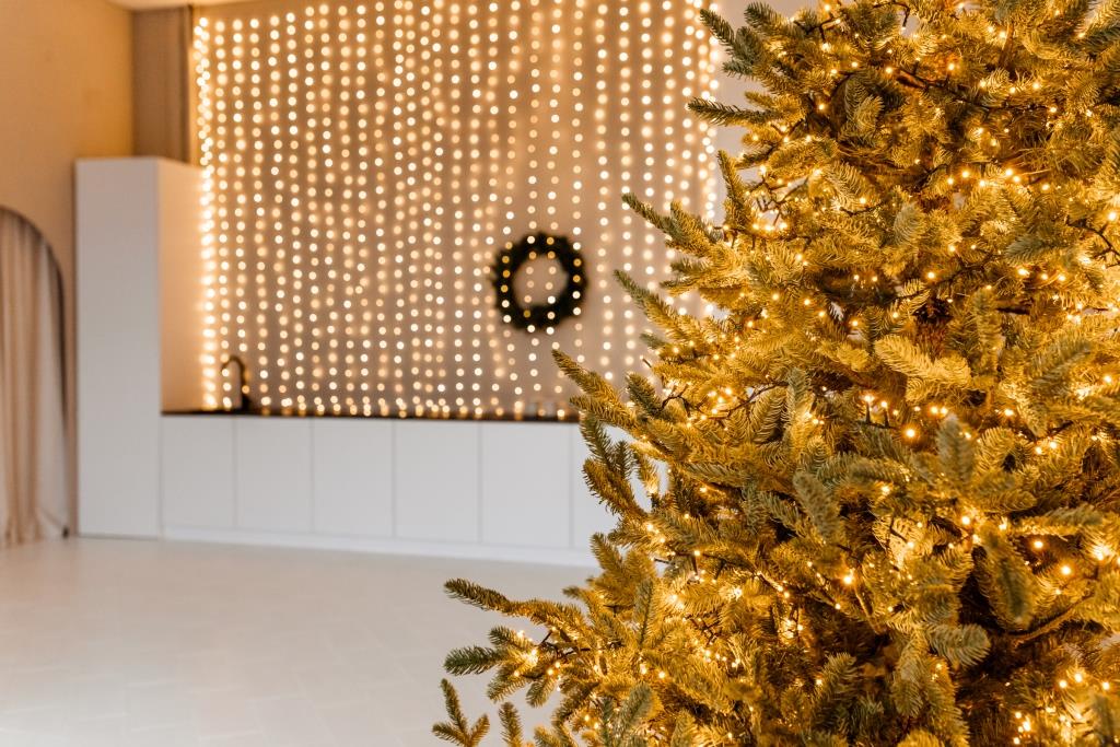 Аренда фотостудии Фотостудия Корица Зал Зал 2 в Минске | Фото 