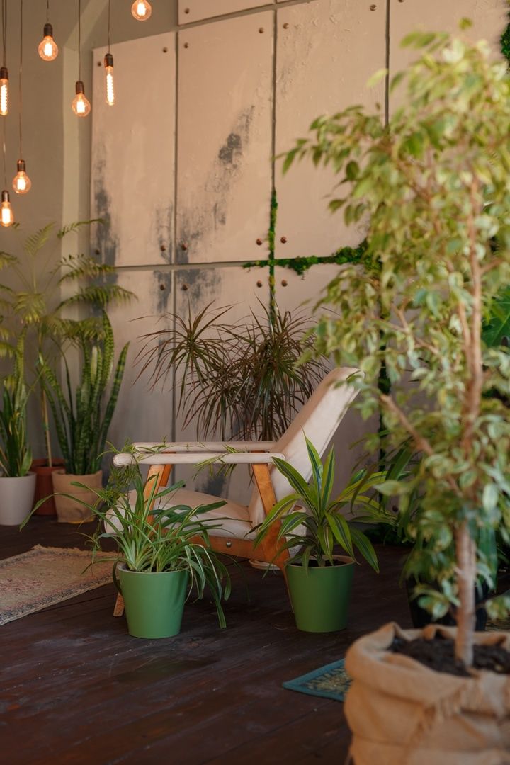 Аренда фотостудии Kalinka Зал Основной  В Белгороде | Фото 