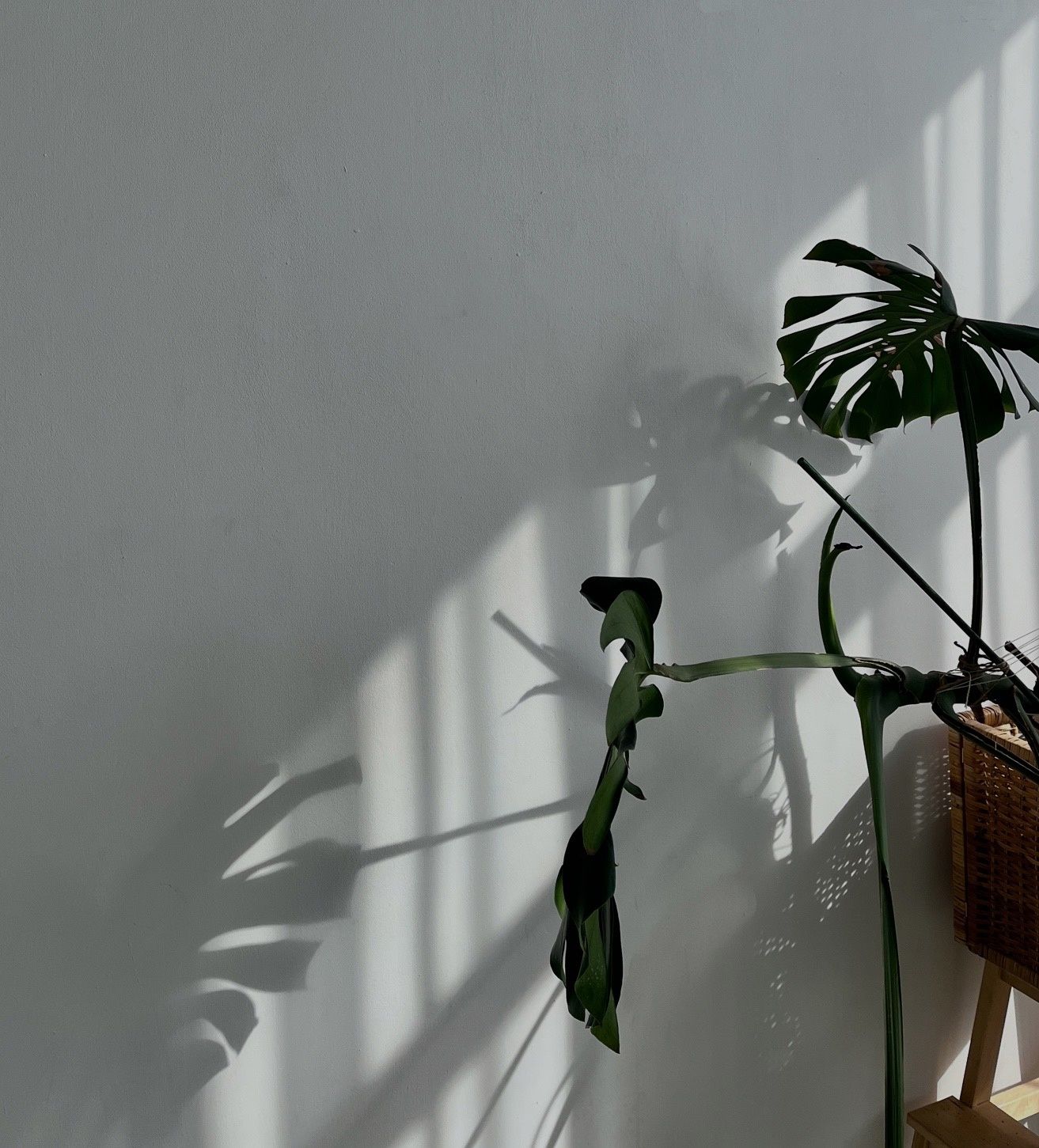 Аренда фотостудии VISUAL STUDIO Зал INWHITE в Новосибирске | Фото 