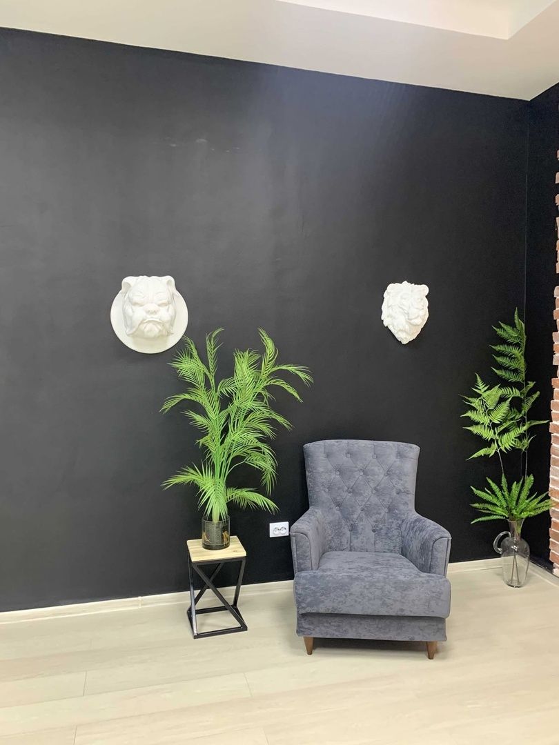 Изображение статьи