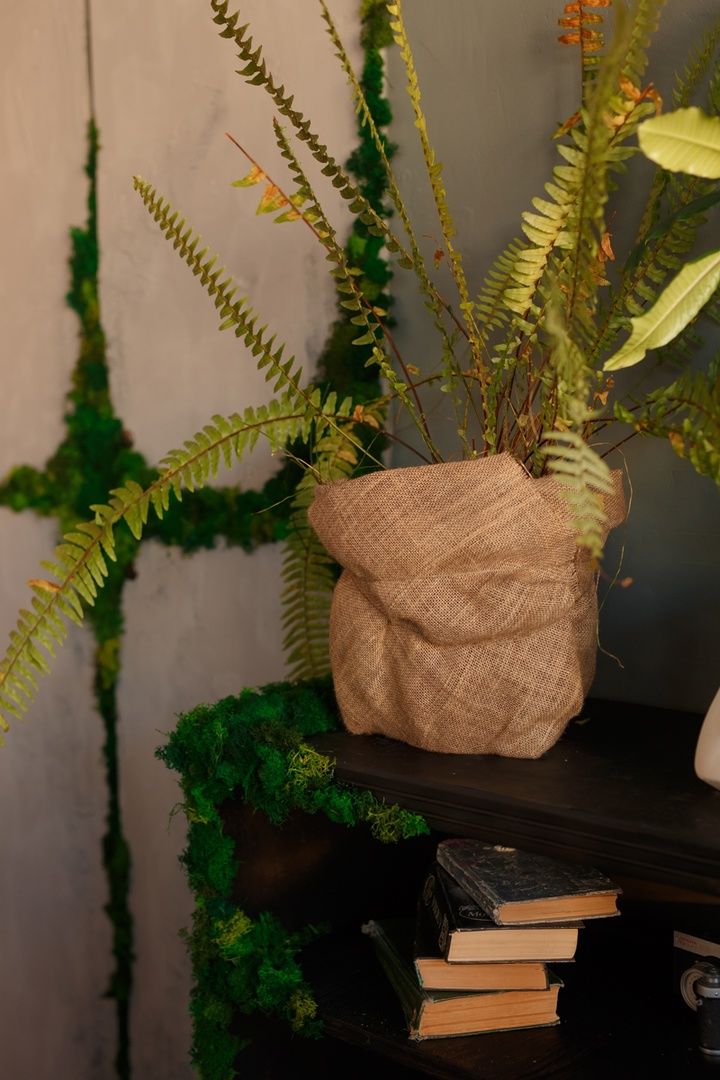 Изображение статьи