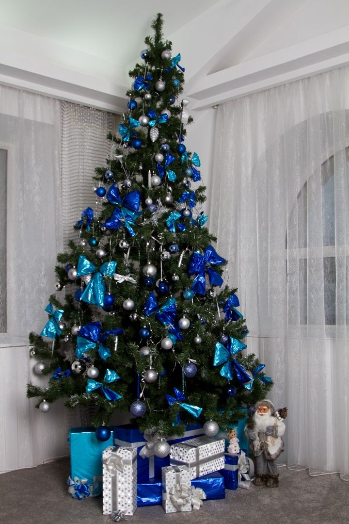 Аренда фотостудии Сафари Студия Зал Основной  В Томске | Фото 