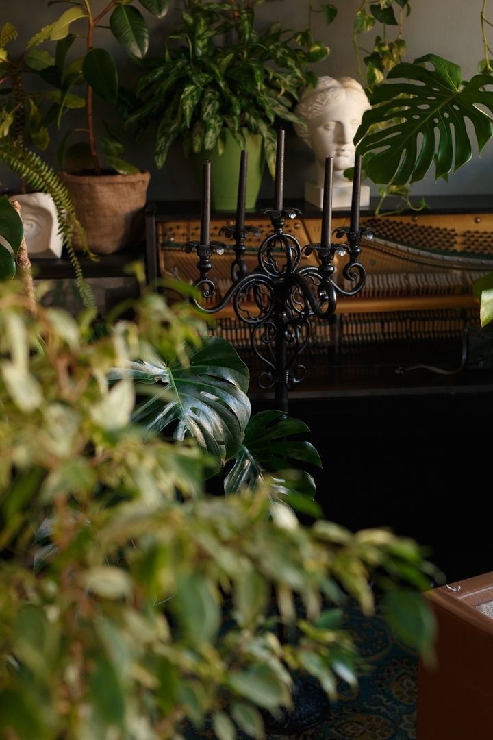 Аренда фотостудии Kalinka Зал Основной  В Белгороде | Фото 