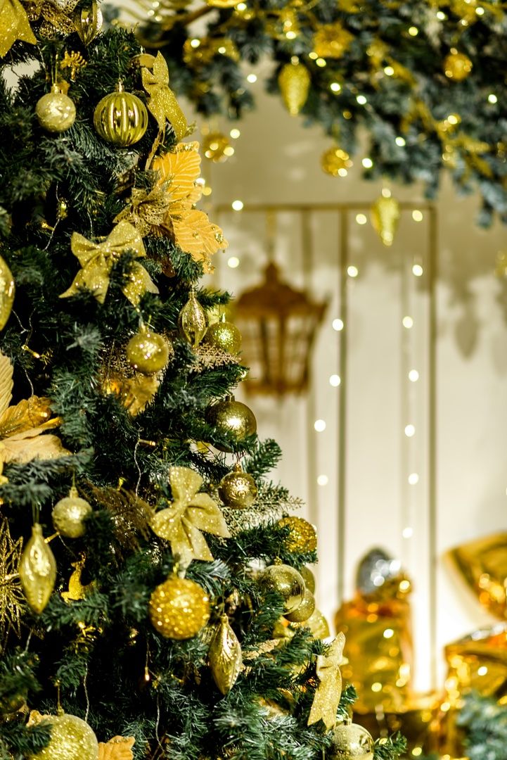 Аренда фотостудии Тринити Зал Основной  в Стерлитамаке | Фото 