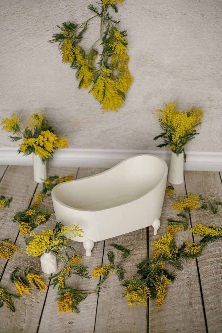 Аренда фотостудии Константа Фэмили Зал Карамель  В Белгороде | Фото 