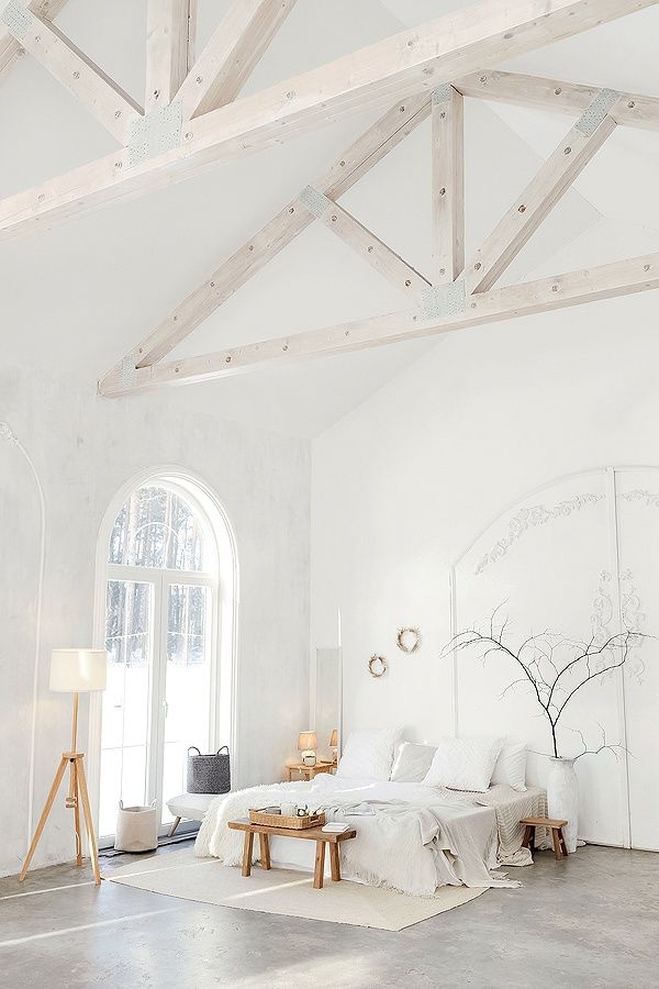 Аренда фотостудии Фотопарк "Divo" Зал Зал Элегия в Ярославле | Фото 