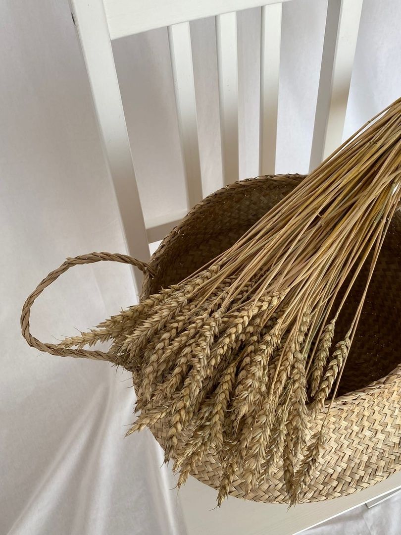 Аренда фотостудии CORFU Зал 91  В Саранске | Фото 