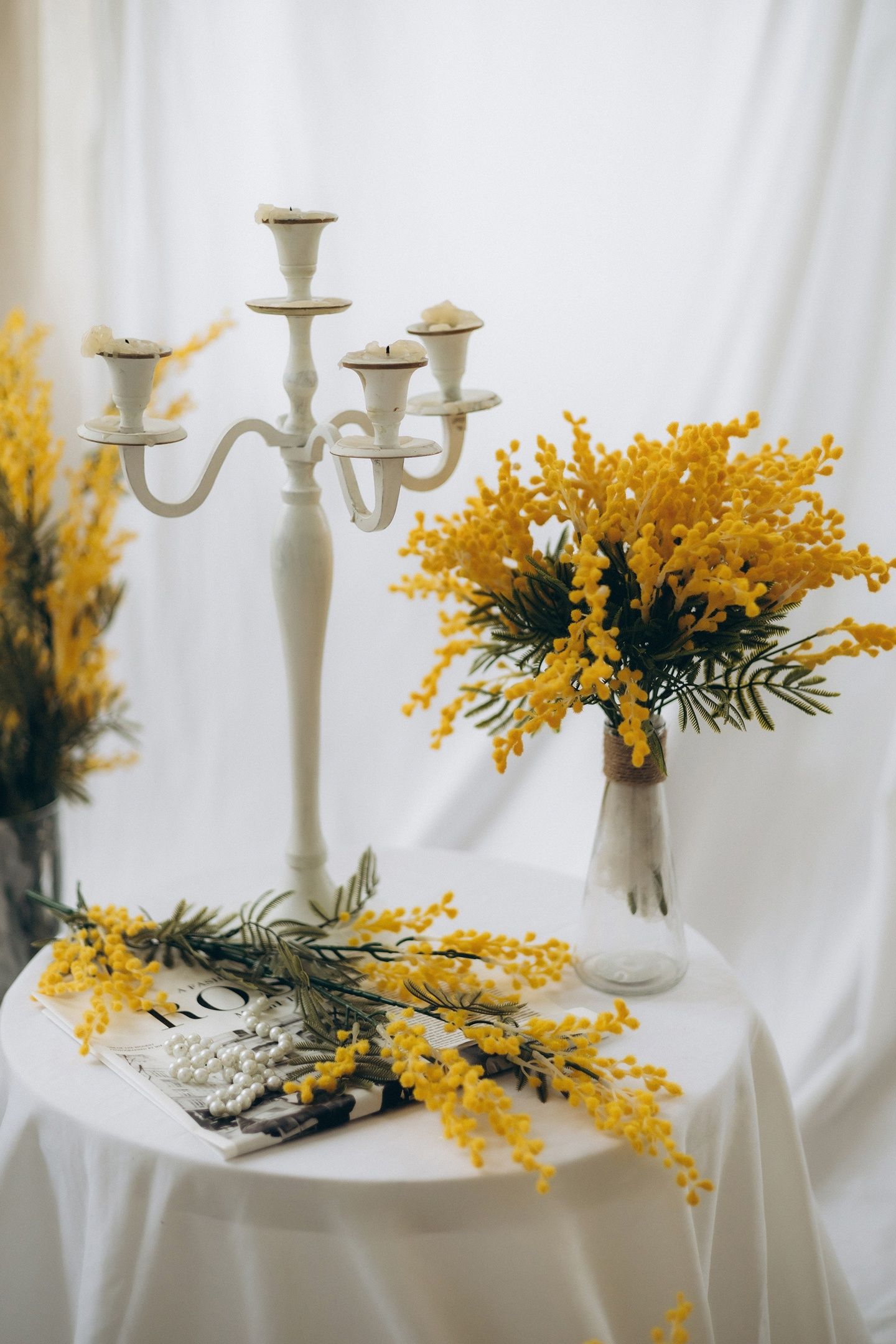 Аренда фотостудии Птичка Зал Основной  в Смоленске | Фото 