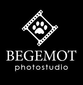 Логотип компании