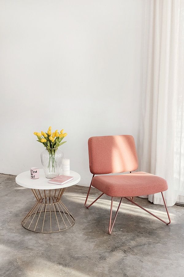 Аренда фотостудии Фотопарк "Divo" Зал Зал Элегия в Ярославле | Фото 