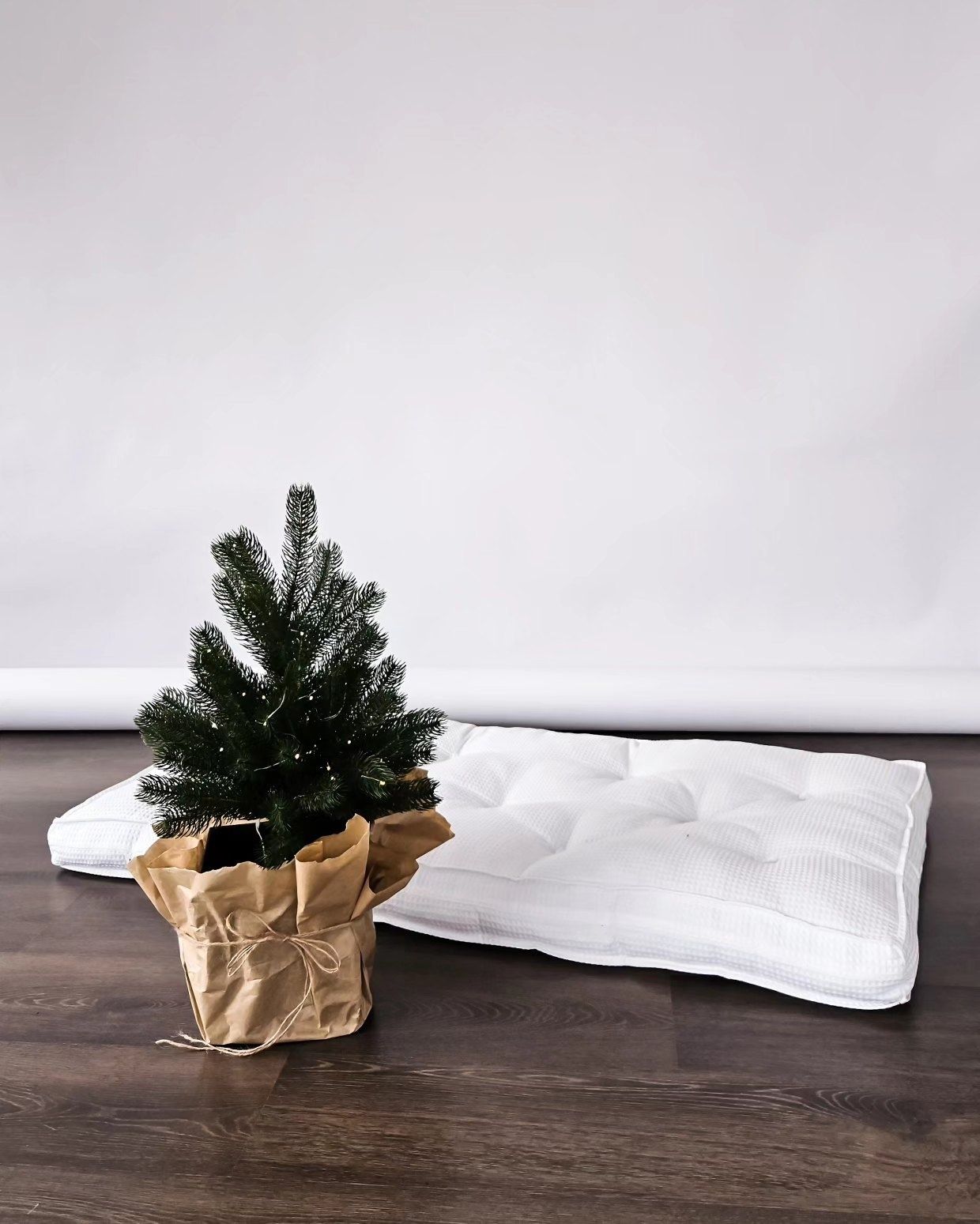 Аренда фотостудии Luminofor Зал Luminofor в Новосибирске | Фото 