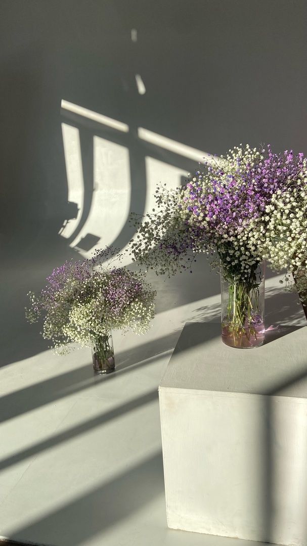 Аренда фотостудии Альфа Зал Зал Фотосессии  в Тольятти | Фото 