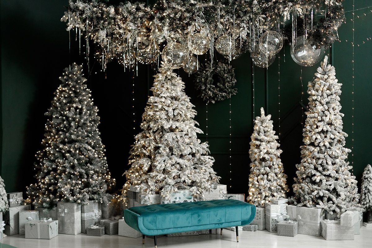 Аренда фотостудии Royal Studio РОЯЛ в Новосибирске | Фото 