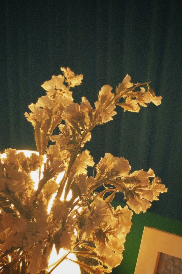 Аренда фотостудии Door28 studio Зал Арка  В Липецке | Фото 