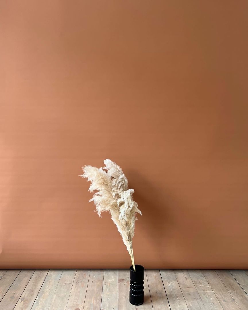 Аренда фотостудии Decor Зал Северный  в Челябинске | Фото 