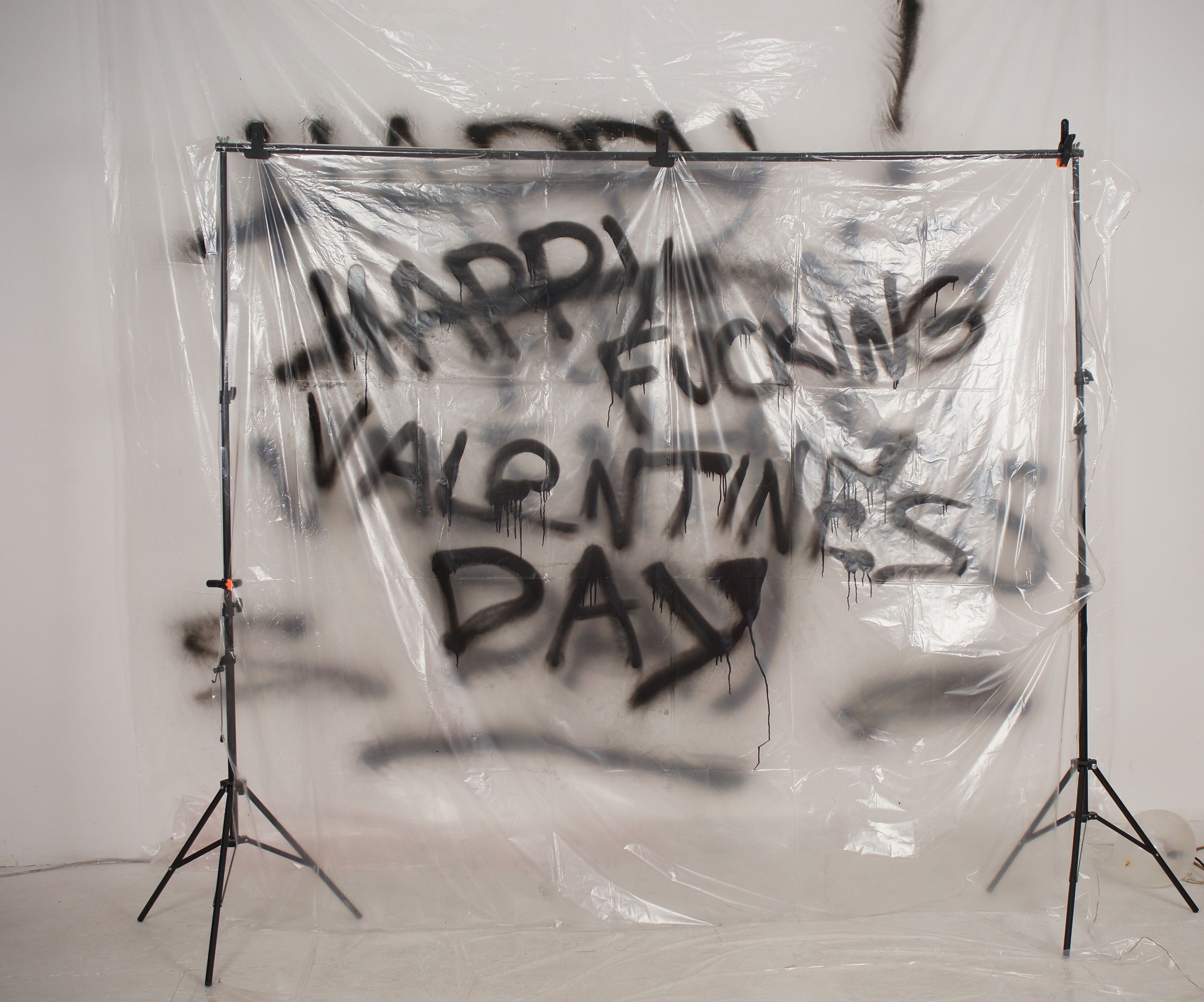 Аренда фотостудии Creative Зал Основной в Ярославле | Фото 