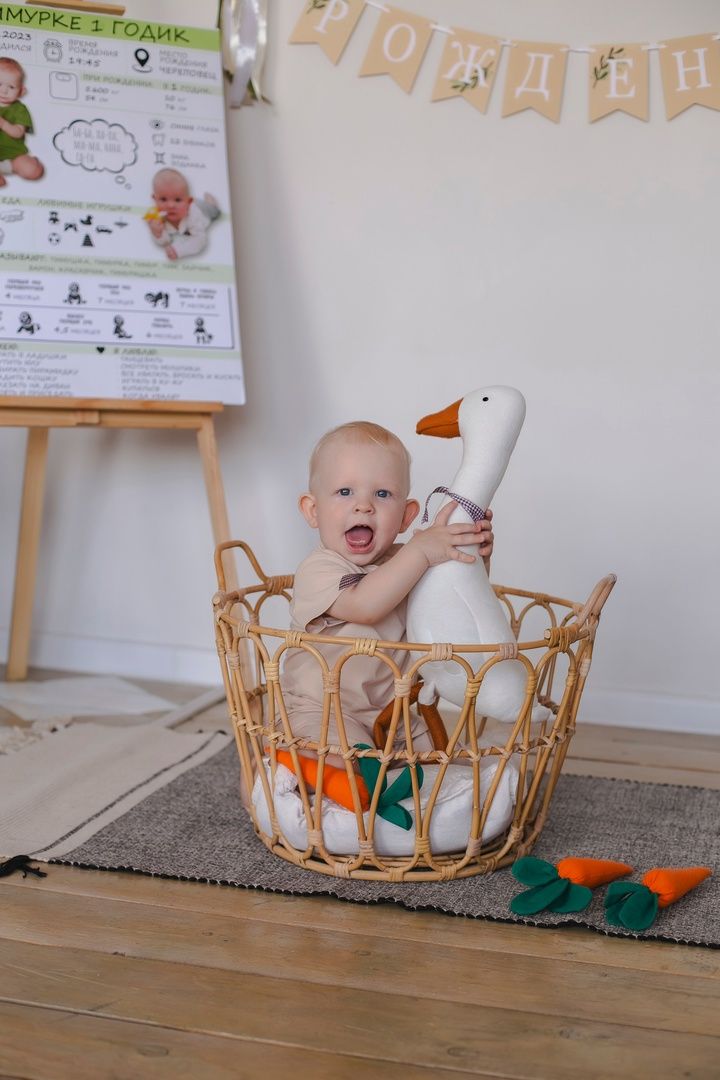 Изображение статьи