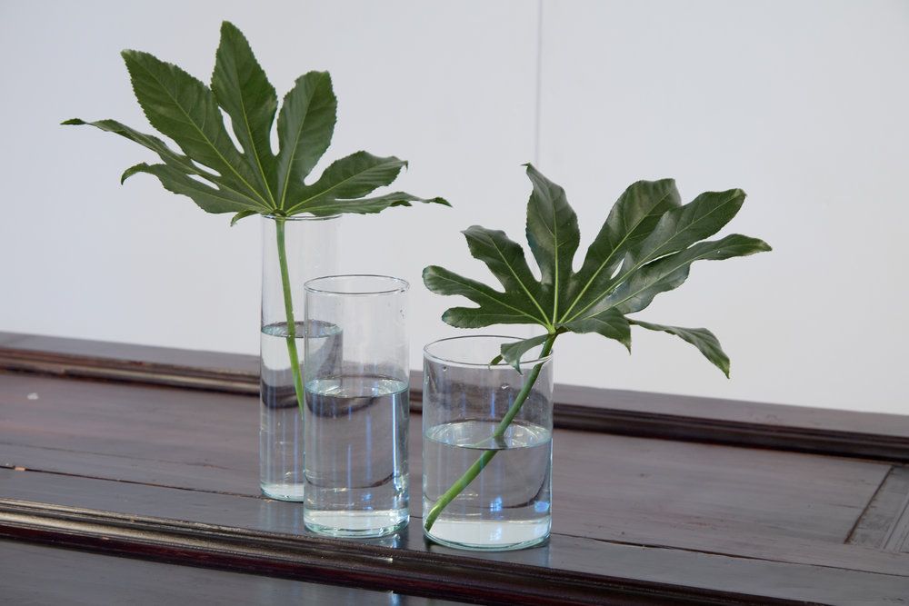 Аренда фотостудии Y-STUDIO Зал Основной  в Москве | Фото 