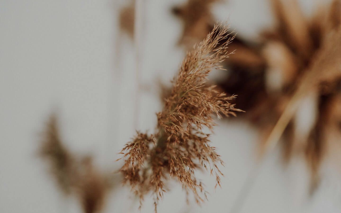 Wynajem studia fotograficznego Studio Kadrowane Studio Boho w Warszawie | Foto 