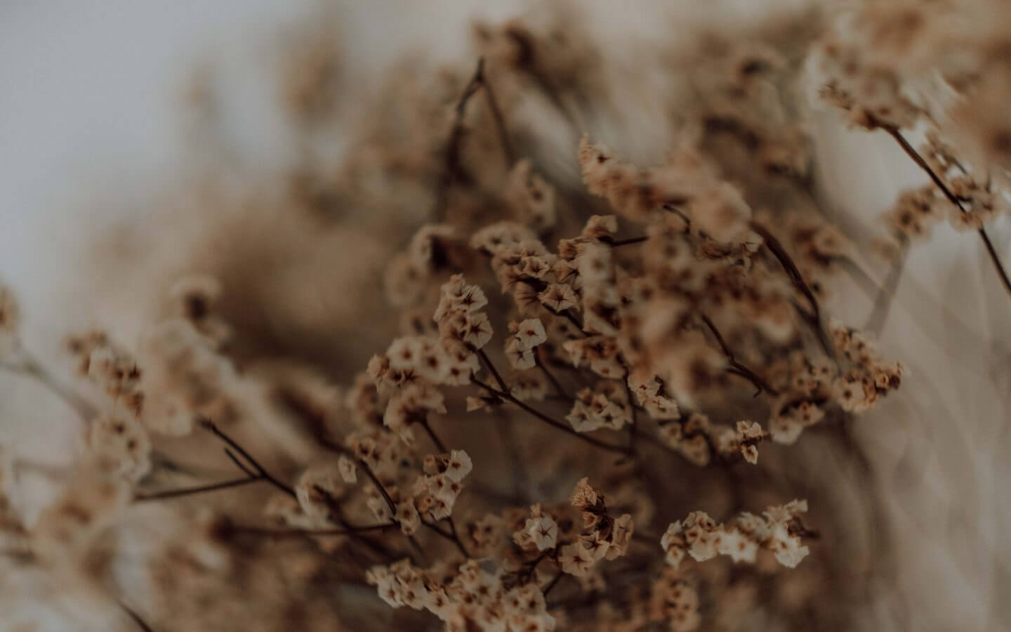 Wynajem studia fotograficznego Studio Kadrowane Studio Boho w Warszawie | Foto 