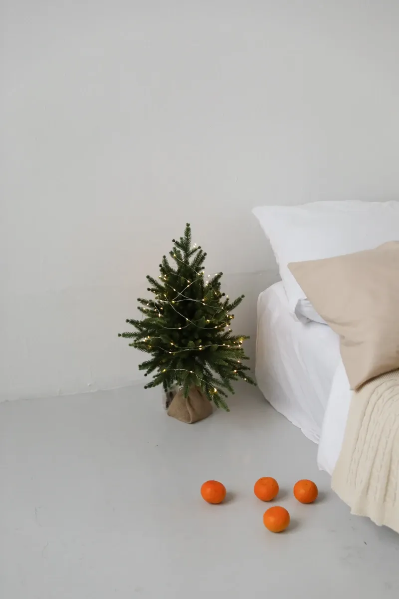 Аренда фотостудии I AM PHOTOSTUDIO Зал mini  в Москве | Фото 