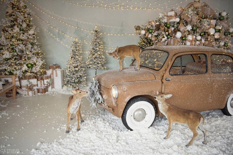 Аренда фотостудии Z STUDIO Зал Сказочный в Новосибирске | Фото 