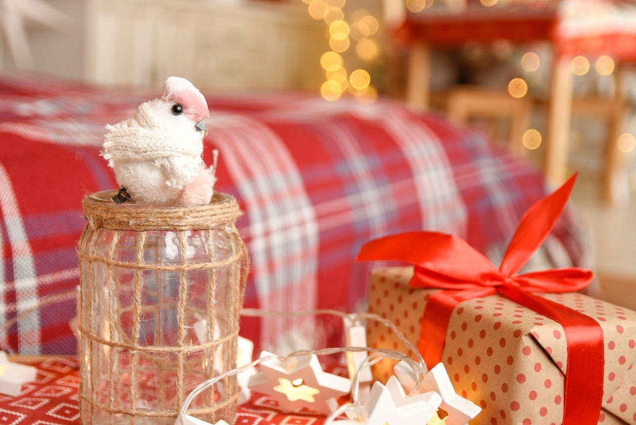 Изображение статьи