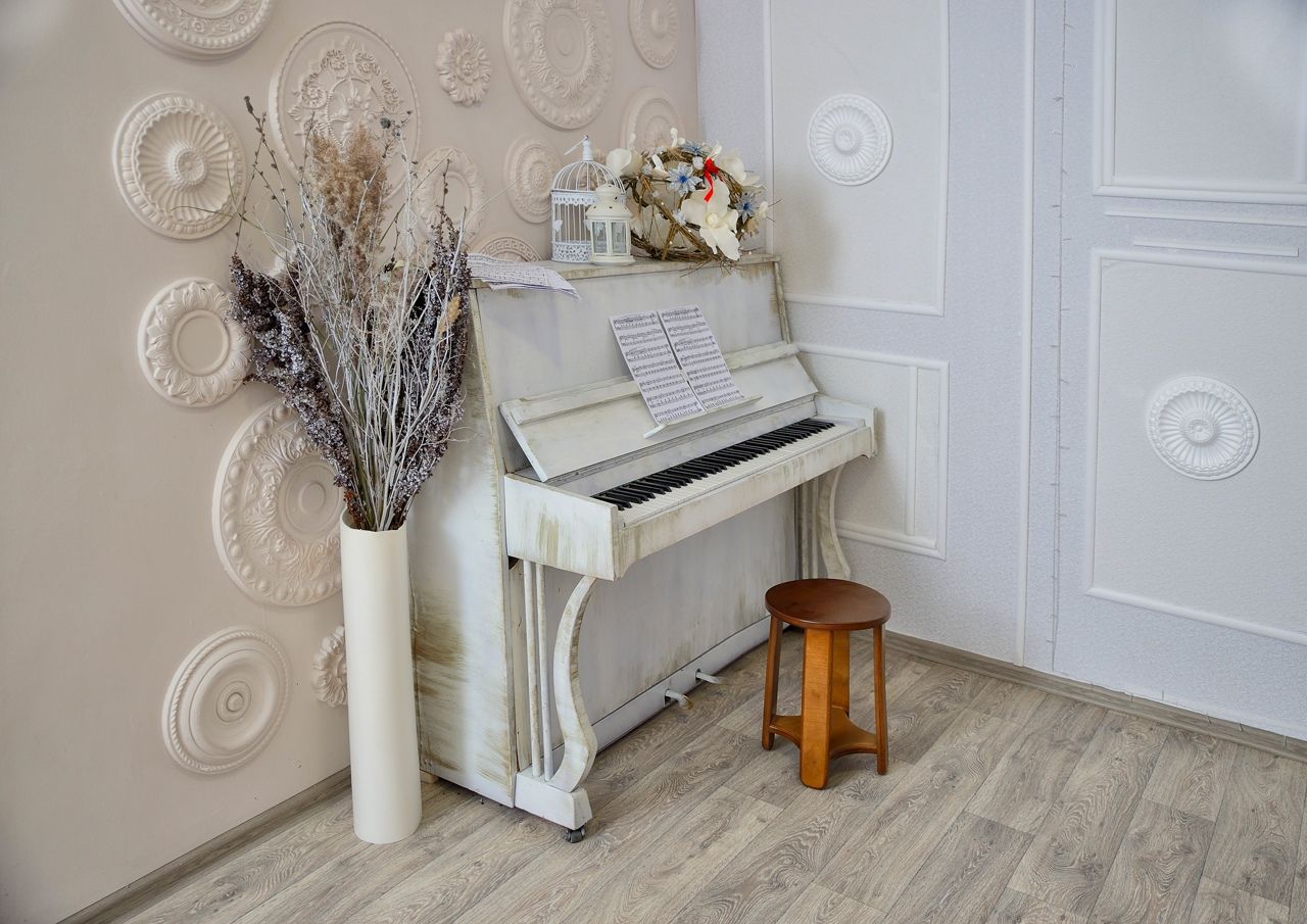 Аренда фотостудии Клюква Курган Зал Основной  В Кургане | Фото 