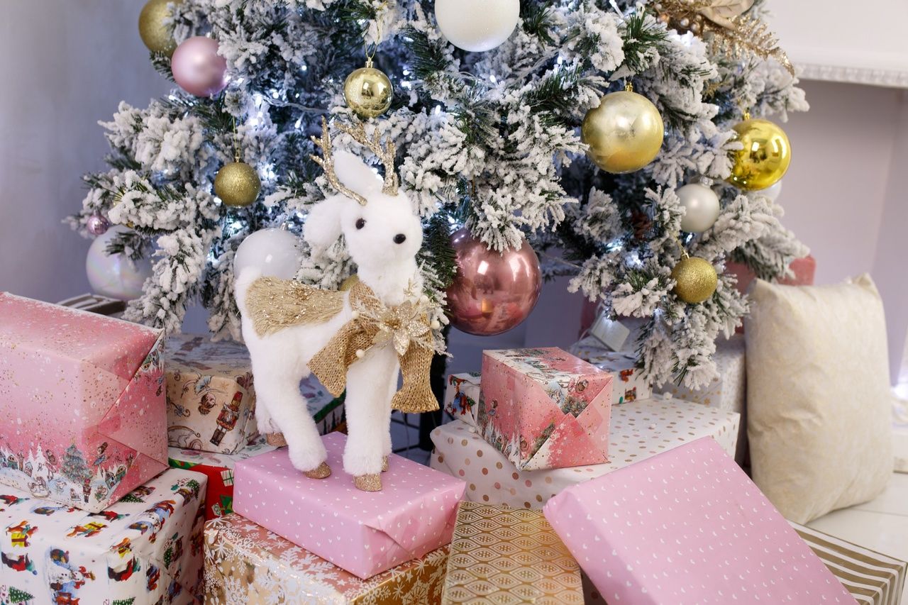 Аренда фотостудии  Black Milk studio Зал Белый в Волгограде | Фото 