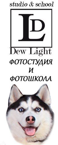 Логотип компании