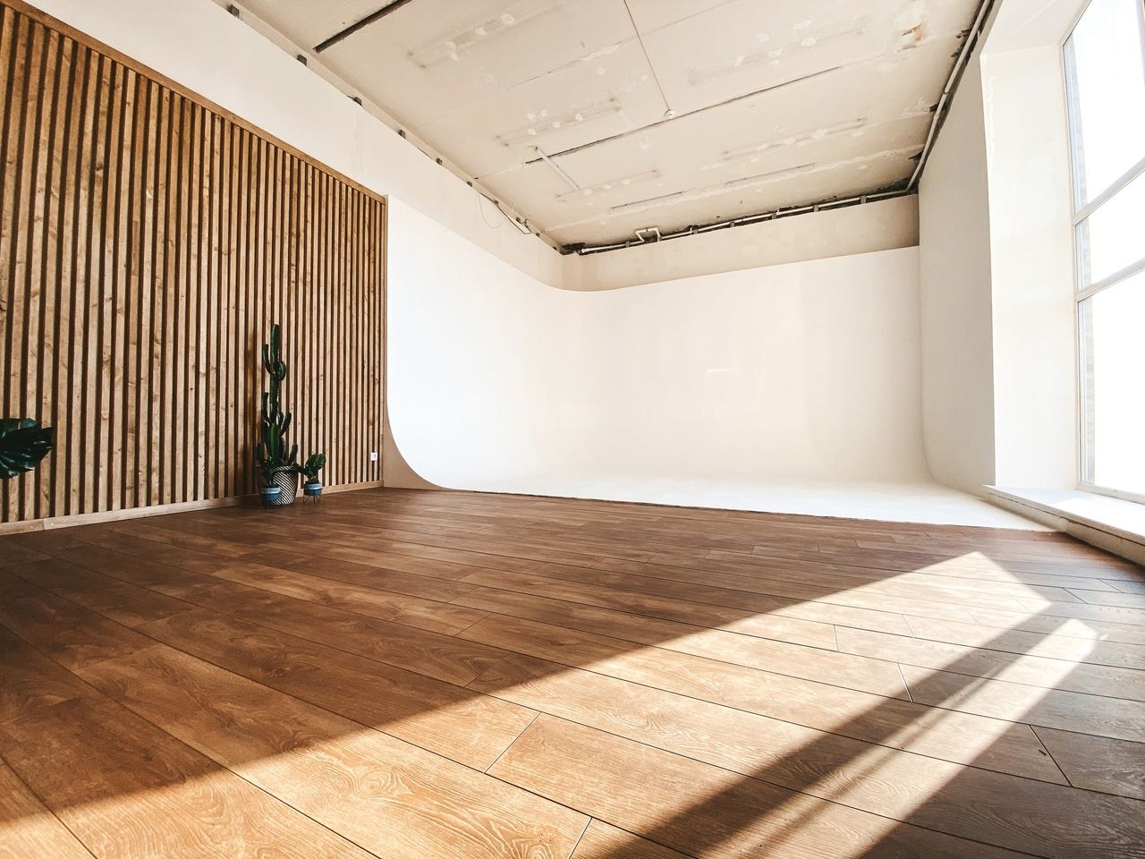 Аренда фотостудии Клюква Зал Клюква  В Ульяновске | Фото 