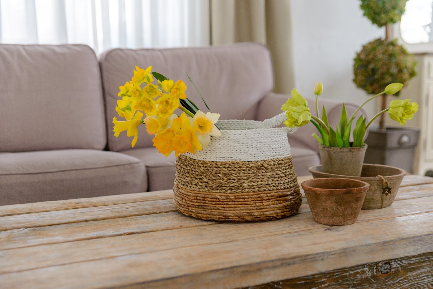 Аренда фотостудии White Garden Зал Основной в Екатеринбурге | Фото 