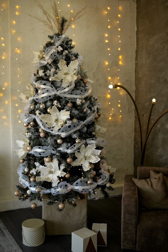 Аренда фотостудии SOHO Зал FAMILY в Таганроге | Фото 