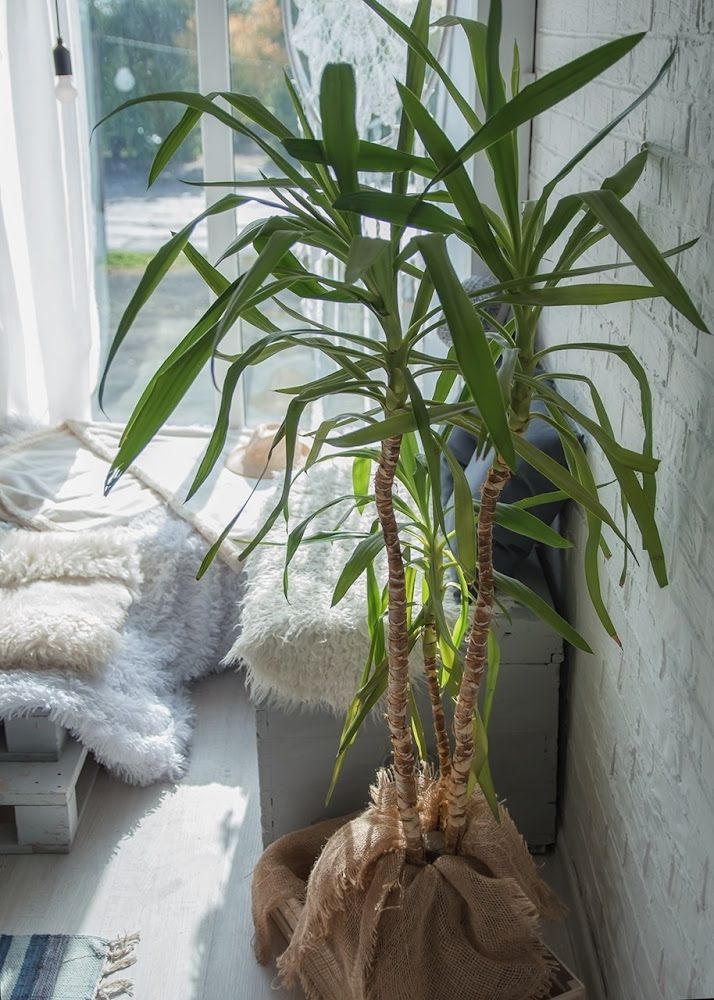 Аренда фотостудии Ваниль Зал Ваниль В Новокузнецке | Фото 