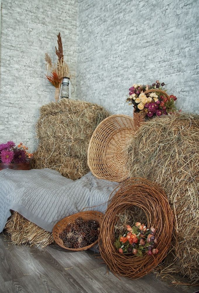 Аренда фотостудии Ваниль Зал Ваниль В Новокузнецке | Фото 